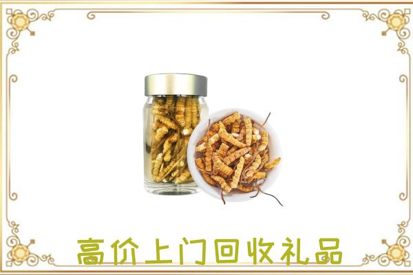 苏尼特右旗周边回收虫草